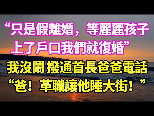 “只是假離婚，等麗麗孩子上了戶口，我們就復婚”，我沒鬧 撥通首長爸爸電話：“爸！革職讓他睡大街！”#悠然書影#爽文#大女主#家庭#豪門