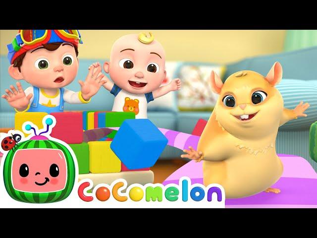 Hamster Escapes Amazing Maze!  | CoComelon Nursery Rhymes & Kids Songs