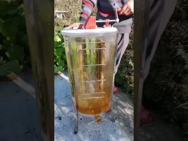 как вам медогонка друзя