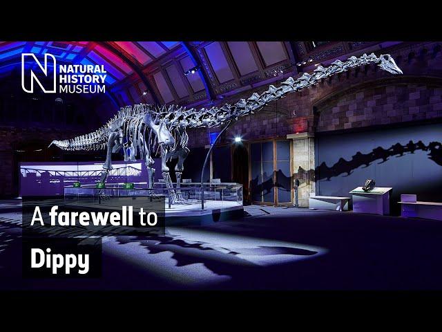 A farewell to Dippy the dinosaur | Natural History Museum