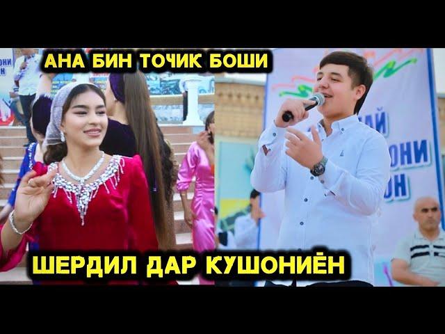 Ана Бин Точик Боши. Шердил Дар Кушониён.