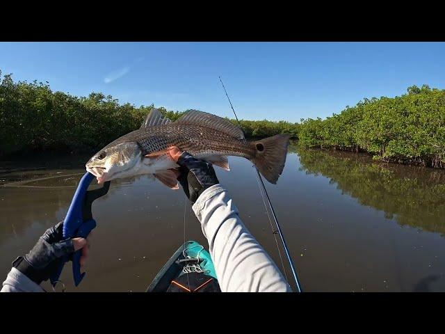 Florida Inshore Slam - Mosquito Lagoon