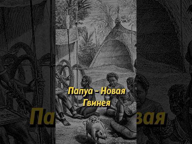 Как не стал российским второй по величине остров в мире. Папуа-Новая Гвинея #shorts #новости