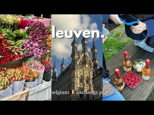 a day in the student city, best waffles in belgium? | leuven, belgium   vlogs pt 3