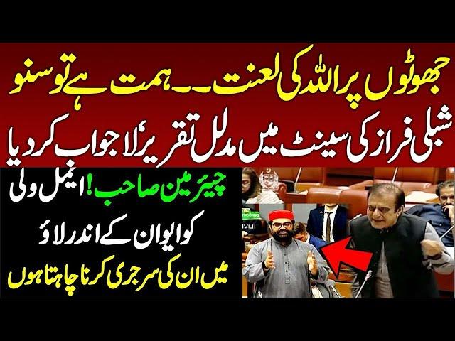 PTI Leader Shibli Faraz Aggressive Speech at Senate of Palace