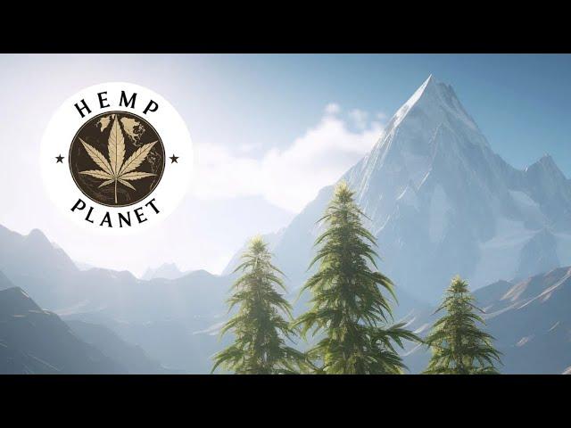 Hemp t-shirt and hoodie - sustainable and ecological fashion