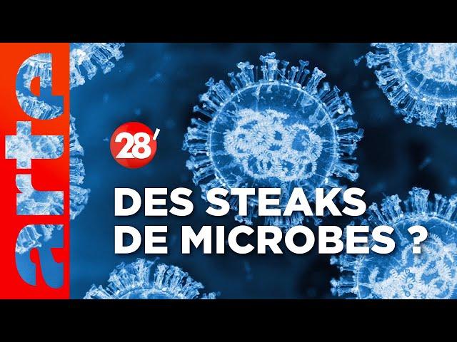 Intéressant : Les microbes peuvent-ils remplacer la viande ? - 28 minutes - ARTE