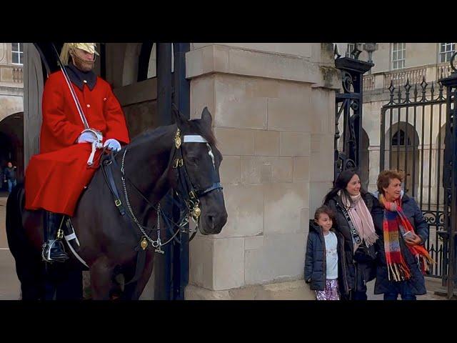 Majestic Moments: A Magnificent Day at Horse Guards in London!