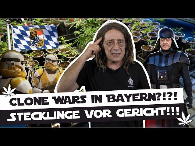 Stecklinge vor Gericht - Clone Wars in Bayern!