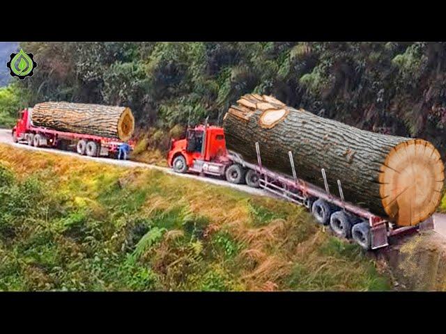 Dangerous Idiots Truck & Heavy Equipment Fails Compilation | Extreme Truck Idiots at Work #35