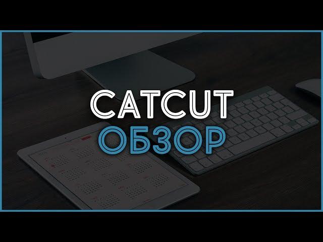 Рекламная сеть CatCut. Заработок на сокращении ссылок в Интернете