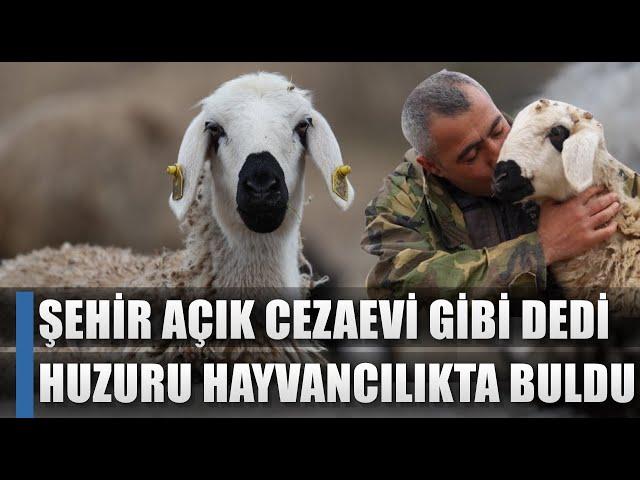 İstanbul Açık Cezaevi Gibi Dedi Huzuru Hayvancılık Yaparak Buldu! / AGRO TV HABER