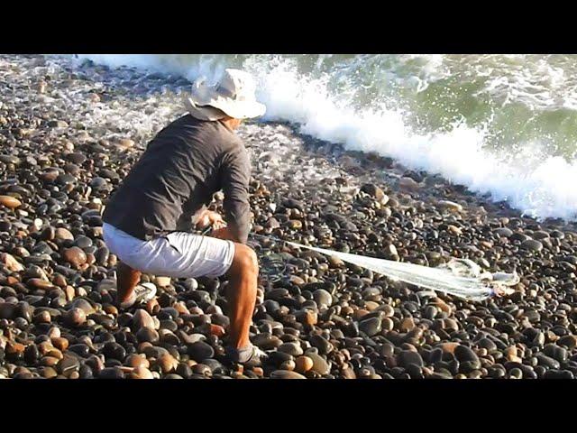 Discover the Secrets of Professional Fishermen | How to Fishing with Cast Nets in Rough Seas