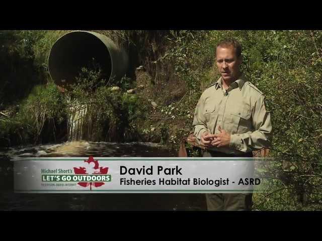 Let's Go Outdoors: How culverts impact fish habitat