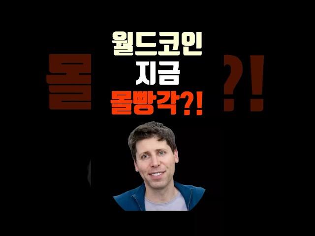 월드코인 지금 몰빵 각입니까?! ai코인 알트불장때 폭등 가능?