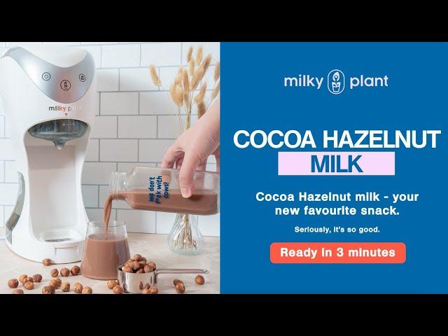Homemade Cocoa Hazelnut Milk - Milky Plant