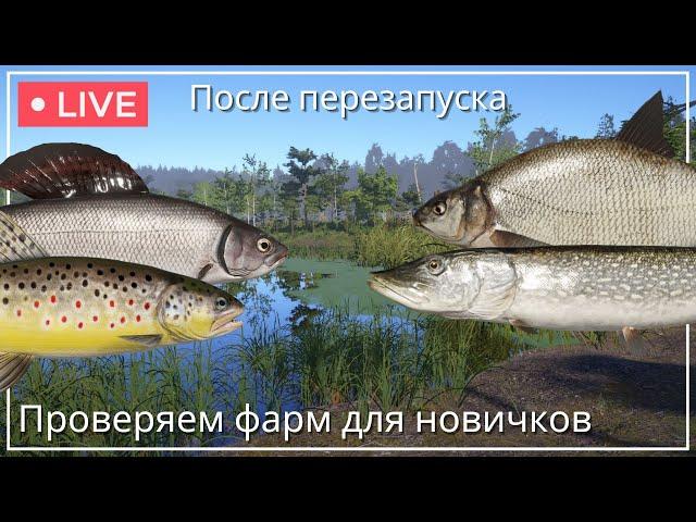 СТРИМ┃ФАРМ ДЛЯ НОВИЧКОВ НА СТАРОМ ОСТРОГЕ - РР4┃maXS1k
