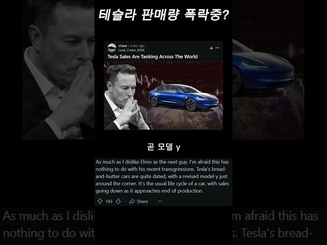 테슬라 판매량 폭락중?