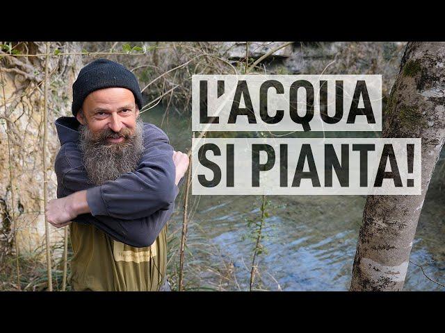 5 SOLUZIONI per SICCITÀ e ALLUVIONI. L’ACQUA si PIANTA! #TerraTerra