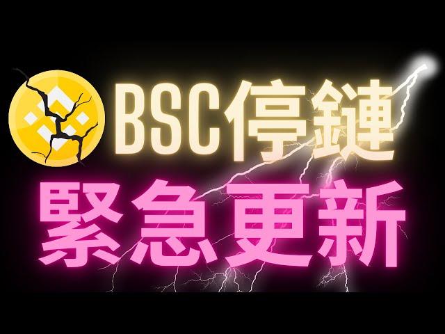 BSC幣安停鏈 緊急更新 我的BNB安全嗎?