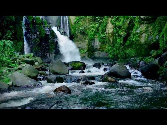 Beautiful Waterfall Stream In The lush Forest and Mossy Cliff To Instantly Melt Your Stress Away