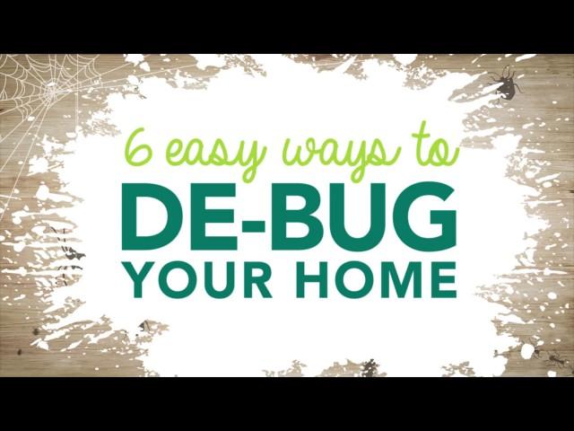 6 Easy Ways to Get Rid of Common Household Bugs