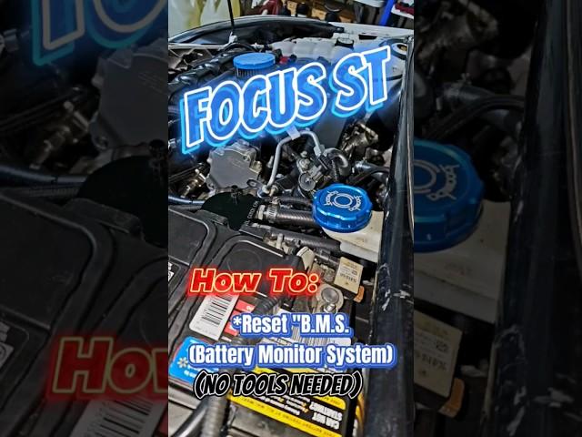 Focus ST - How to Reset Battery Monitor System! *Ford Focus B.M.S Reset! The EasyWay! #focusst