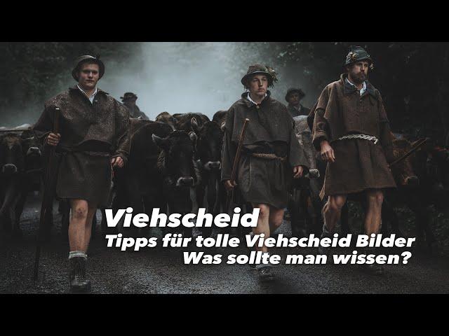 Viehscheid | Tipps für tolle Viehscheid Bilder | Was sollte man wissen?