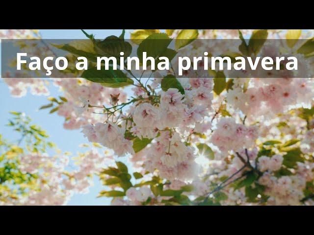 Faço a minha primavera - Momento Espírita