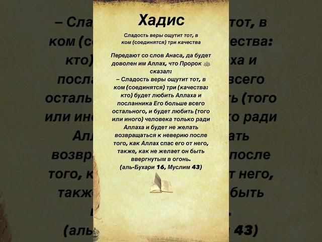 Сладость веры ощутит тот, в ком (соединятся) три качества #hadees #хадис #islam #ислам