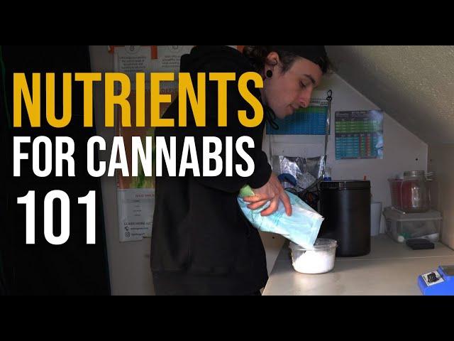 Nutrient 101 - How to Feed Your Plants for Massive Yields