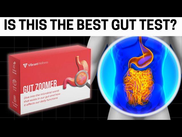 Vibrant Wellness Gut Zoomer Test 3.0 Review