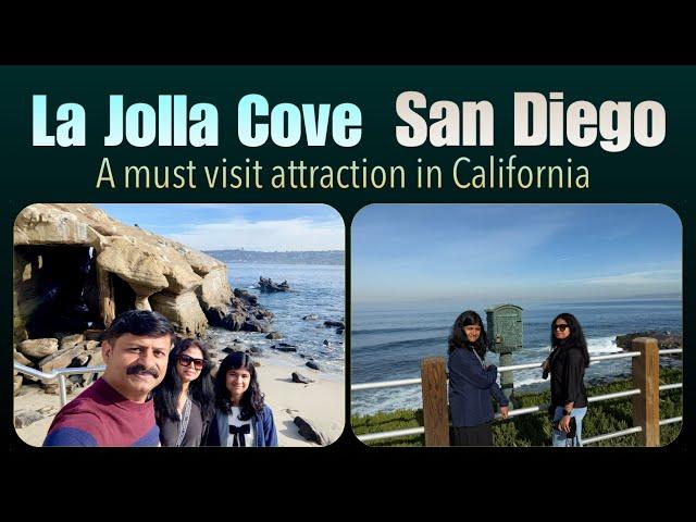 Exploring La Jolla Cove: A Perfect Day Trip from Los Angeles to San Diego| California Ep 7