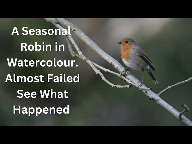 A Seasonal Robin In Watercolour - Almost Failed - See What Happened