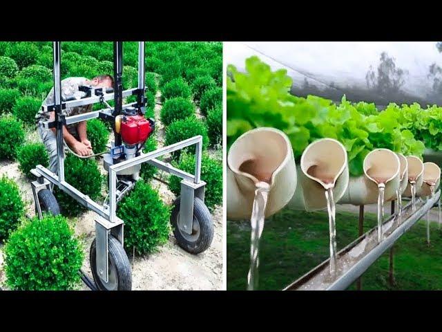 INGENIOUS AGRICULTURAL IDEAS AND INVENTIONS FOR MAXIMUM PRODUCTIVITY