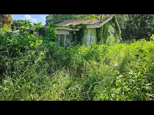 Abandoned for 23 Years and Covered in Vines  OVERGROWN LAWN TRANSFORMATION