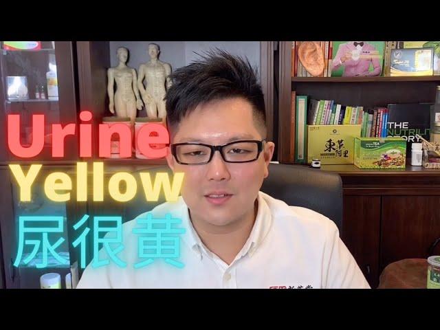 【URINE YELLOW】extremely strong smell ，尿也很黄，味道很重，可能与肝肾有关，不要忽视！