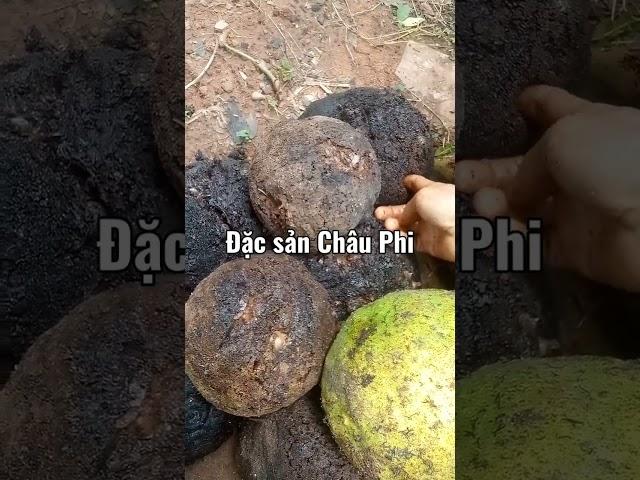 Huong Xuan Vlogs - Cuộc Sống Châu Phi