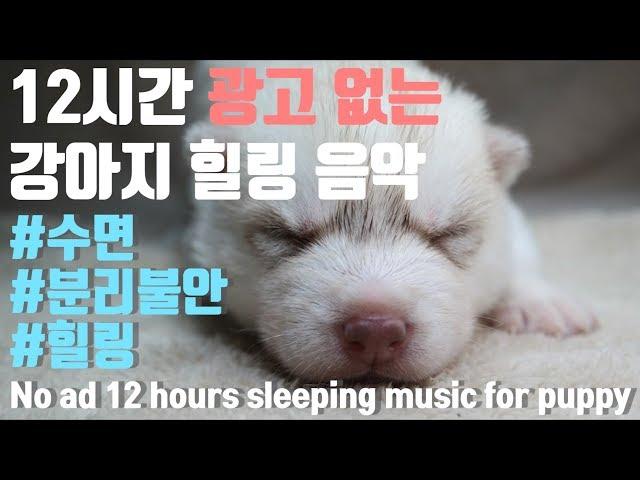 12 hours (without advertising) dog music separation anxiety sleep, healing music#separation anxiety