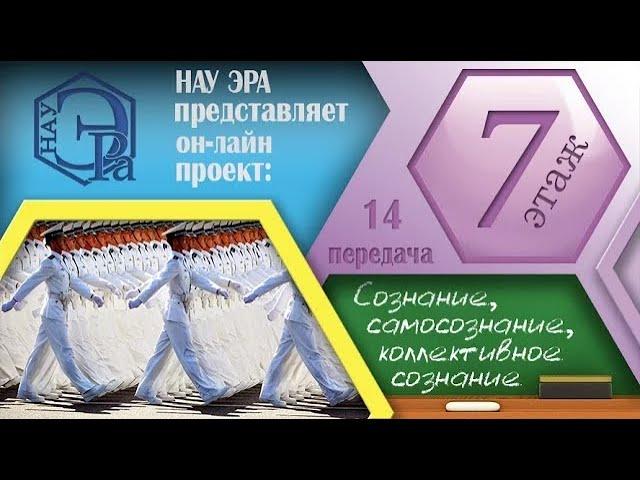 Сознание, самосознание и коллективное сознание... (Архив проекта #7этаж)