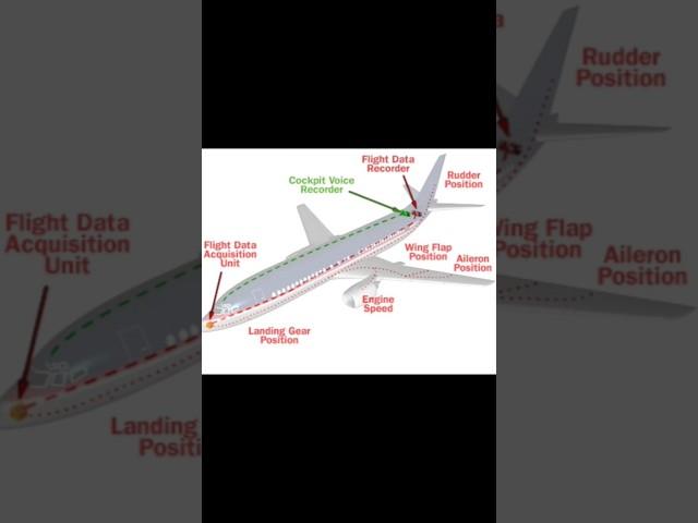 black box how it works?#techbytes#shorts#blackbox