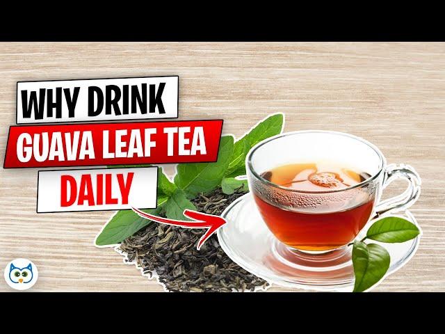 12 Amazing Benefits of Guava Leaf Tea You Are Unaware of