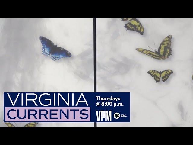 Virginia Currents: VA Treatment Center For Children