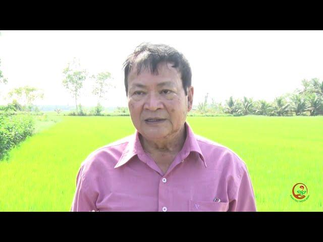 KỸ THUẬT CANH TÁC LÚA THÔNG MINH SỐ 19: BÓN PHÂN ĐÓN ĐÒNG HIỆU QUẢ
