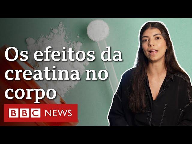 Creatina: os efeitos reais do suplemento na performance e na saúde