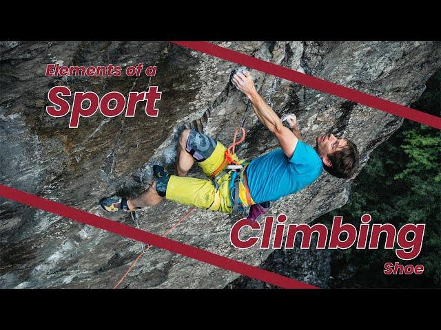 Top Sport Climbing Shoe's for 2024