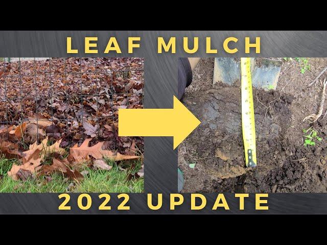 Autumn Leaf Mulch 2022 Update