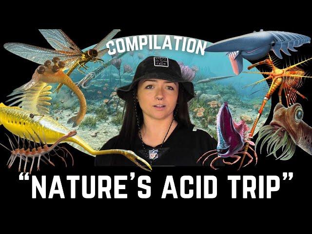 The Paleozoic Era (That We Know Of) Compilation | Lindsay Nikole