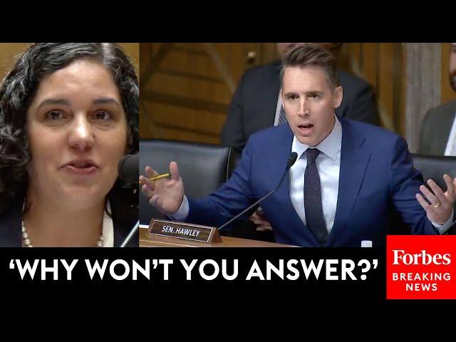 BREAKING NEWS: Josh Hawley Relentlessly Grills Biden Nominee About 'Crazy' Positions By Organization