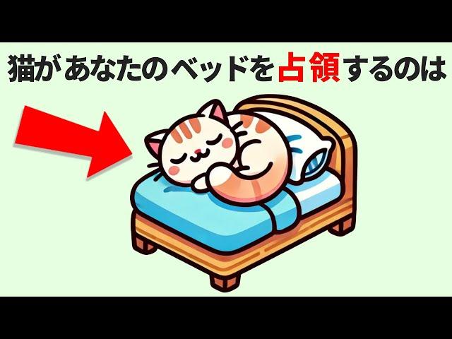 【かわいい猫のおもしろ雑学】猫の秘密と不思議な習性！全て知ってたらあなたは猫博士！かわいい猫ちゃんたちから好かれるに違いない！ #雑学 #豆知識 #トリビア